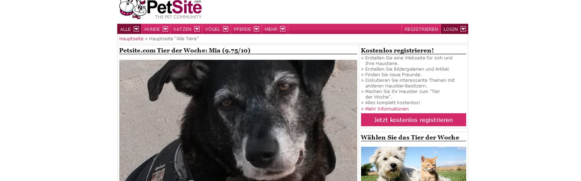 PetSite.com